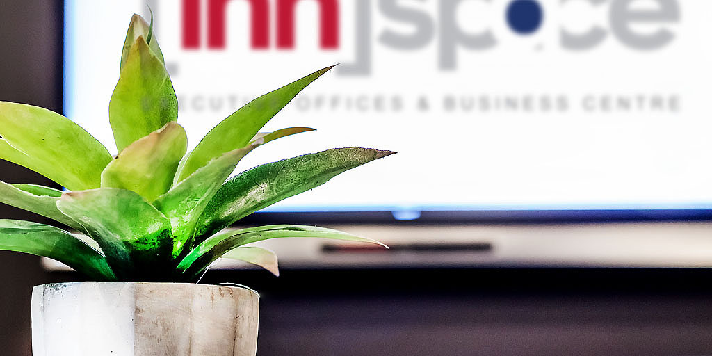 Smart board in the distance with innspace logo showing. Lush plant in focus in foreground.